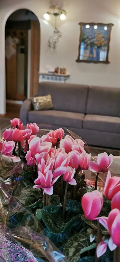 Borgo Alpino Chalet 4 阿帕里卡 外观 照片